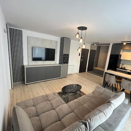 Top Studio Braşov Eksteriør billede
